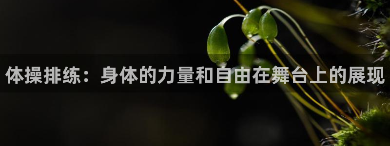 熊猫体育网址：体操排练：身体的力量和自由在舞台上的展现
