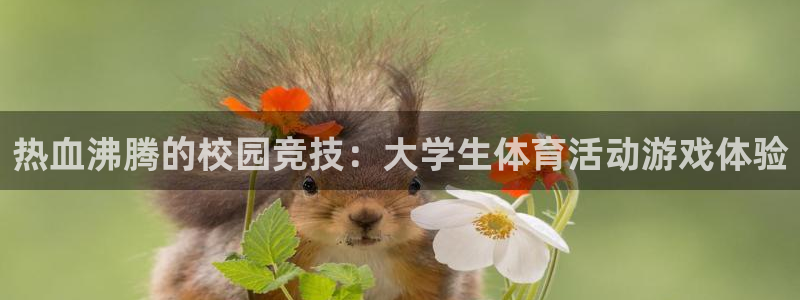 熊猫体育：热血沸腾的校园竞技：大学生体育活动游戏体验