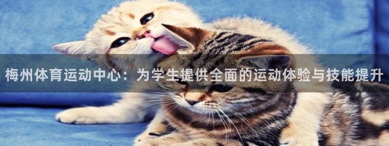成都金熊猫体育：梅州体育运动中心：为学生提供全面的运动体验与技能提升