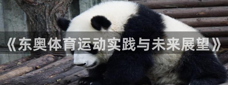 熊猫体育app下载安装：《东奥体育运动实践与未来展望》